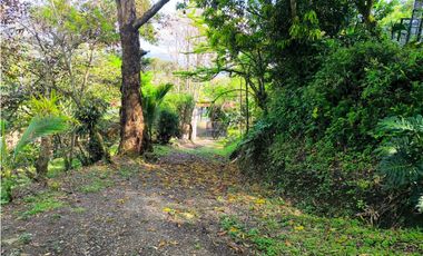 VENDO FINCA  EN QUEBRADANEGRA