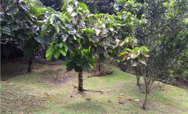 ACSI 1280. Finca en Venta en La Vega