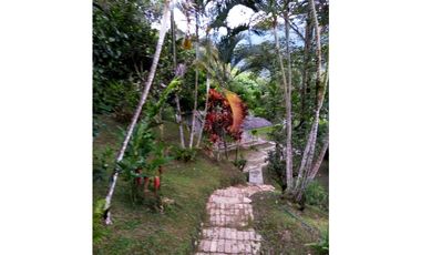 ACSI 1280. Finca en Venta en La Vega