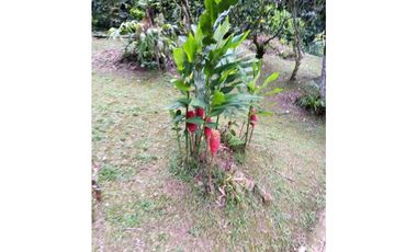 ACSI 1280. Finca en Venta en La Vega