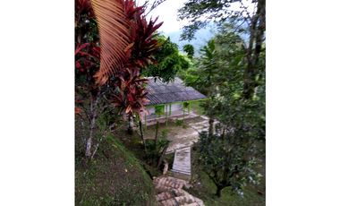 ACSI 1280. Finca en Venta en La Vega