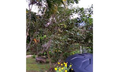 ACSI 1280. Finca en Venta en La Vega