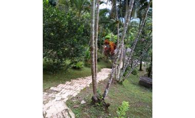 ACSI 1280. Finca en Venta en La Vega