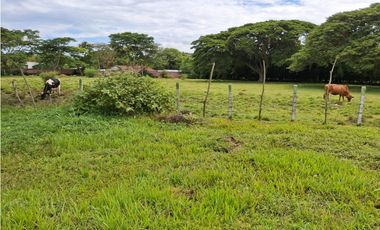 VENDO LOTE EN CARTAGO EXCELENTE UBICACION