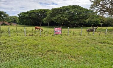 VENDO LOTE EN CARTAGO EXCELENTE UBICACION