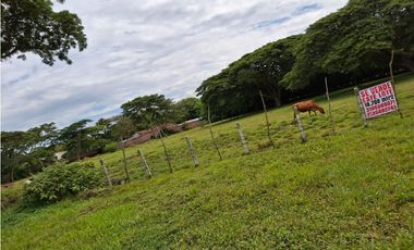 VENDO LOTE EN CARTAGO EXCELENTE UBICACION