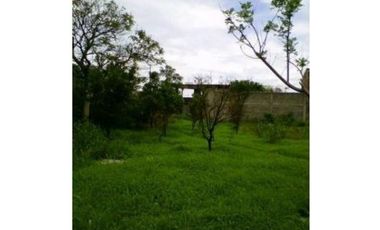 Terreno plano en venta en Cuautla precio a tratar