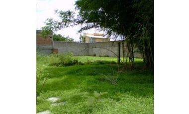 Terreno plano en venta en Cuautla precio a tratar