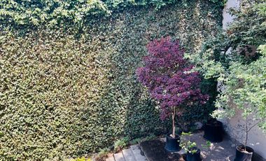 Casa - San Angel Inn