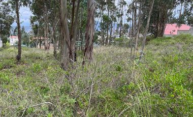 Oportunidad Terreno en la Mitad del Mundo