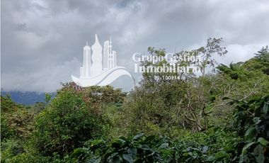 Finca en venta Palmira, Boquete #6 Hermosa vista