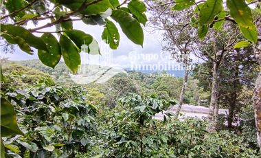 Finca en venta Palmira, Boquete #6 Hermosa vista