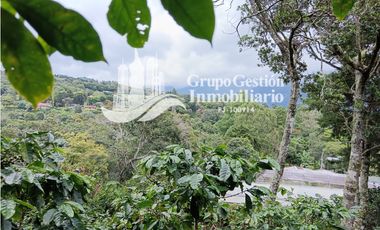 Finca en venta Palmira, Boquete #6 Hermosa vista