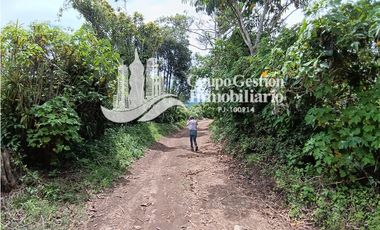 Finca en venta Palmira, Boquete #6 Hermosa vista