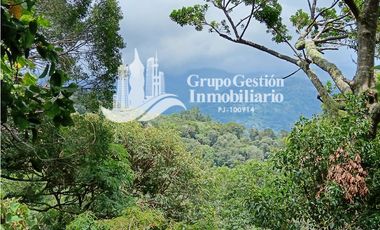 Finca en venta Palmira, Boquete #6 Hermosa vista