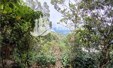 Finca en venta Palmira, Boquete #6 Hermosa vista