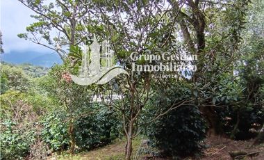 Finca en venta Palmira, Boquete #6 Hermosa vista