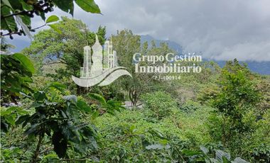 Finca en venta Palmira, Boquete #6 Hermosa vista