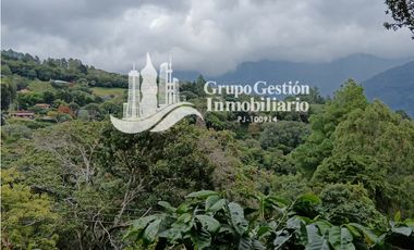 Finca en venta Palmira, Boquete #6 Hermosa vista