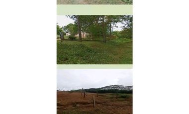 VENDO.LOTE.DE.9,061MTS SANTA ROSA- DOLEGA