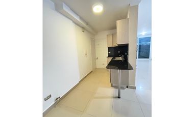 Alquiler de apartamento en PH Green Park. VC