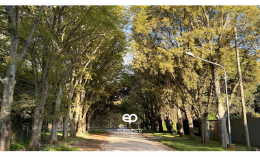 ALQUILER 24 MESES Casa 5 amb en Barrio Grosellar