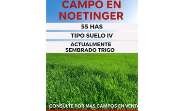 🌾 VENTA DE CAMPO – NOETINGER (Córdoba) Ubicación: Zona rural de Noe