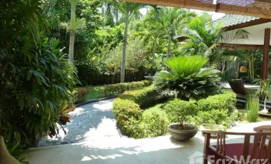 3 Bedroom Villa for sale in Lovina, Bali