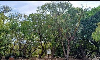 Casa en Arriendo en Campo Mar 1