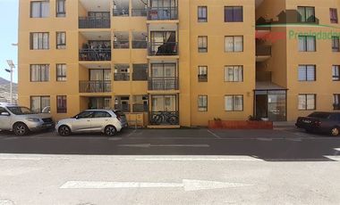 Departamento en Arriendo en Departamento disponible en Condominio El Crisol, El Palomar