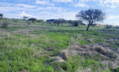 VENTA PARCELA EN LITUECHE |URETA BRAVO PROPIEDADES|