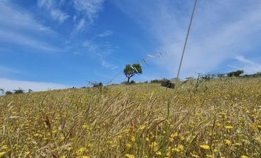 VENTA PARCELA EN LITUECHE |URETA BRAVO PROPIEDADES|