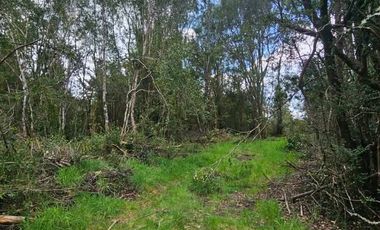 HERMOSA PARCELA VILLARRICA, SECTOR PIEDRA AMARILLA