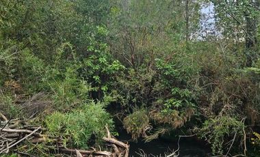 HERMOSA PARCELA VILLARRICA, SECTOR PIEDRA AMARILLA