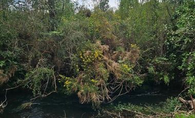 HERMOSA PARCELA VILLARRICA, SECTOR PIEDRA AMARILLA