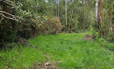 HERMOSA PARCELA VILLARRICA, SECTOR PIEDRA AMARILLA