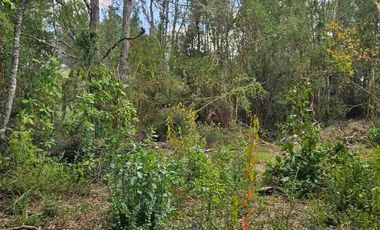 HERMOSA PARCELA VILLARRICA, SECTOR PIEDRA AMARILLA