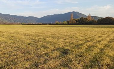 CAMPO AGRICOLA EN VENTA, 29 HA, PALMILLA SANTA CRUZ