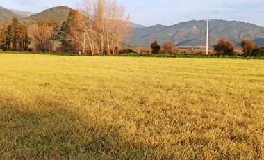 CAMPO AGRICOLA EN VENTA, 29 HA, PALMILLA SANTA CRUZ