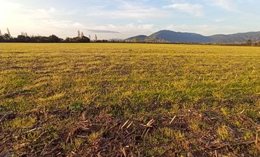 CAMPO AGRICOLA EN VENTA, 29 HA, PALMILLA SANTA CRUZ