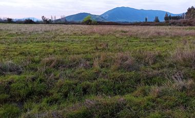 CAMPO AGRICOLA EN VENTA, 29 HA, PALMILLA SANTA CRUZ