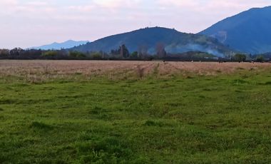 CAMPO AGRICOLA EN VENTA, 29 HA, PALMILLA SANTA CRUZ