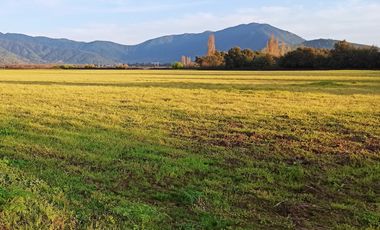 CAMPO AGRICOLA EN VENTA, 29 HA, PALMILLA SANTA CRUZ