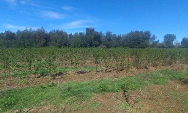 Vendo hermosas Parcelas de Agrado Planas con Rol