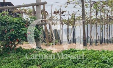 Ocasión Terreno Casa de Campo - Cerro Azul