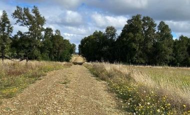 VENTA PARCELA CON ACCESO A RIO