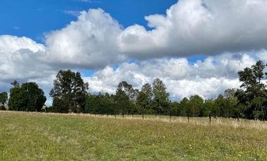 VENTA PARCELA CON ACCESO A RIO