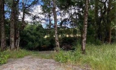 VENTA PARCELA CON ACCESO A RIO