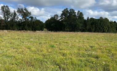 VENTA PARCELA CON ACCESO A RIO