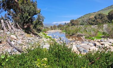 OPORTUNIDAD!! UF 4.300  PARCELA 14há COMUNA DE LOS VILOS